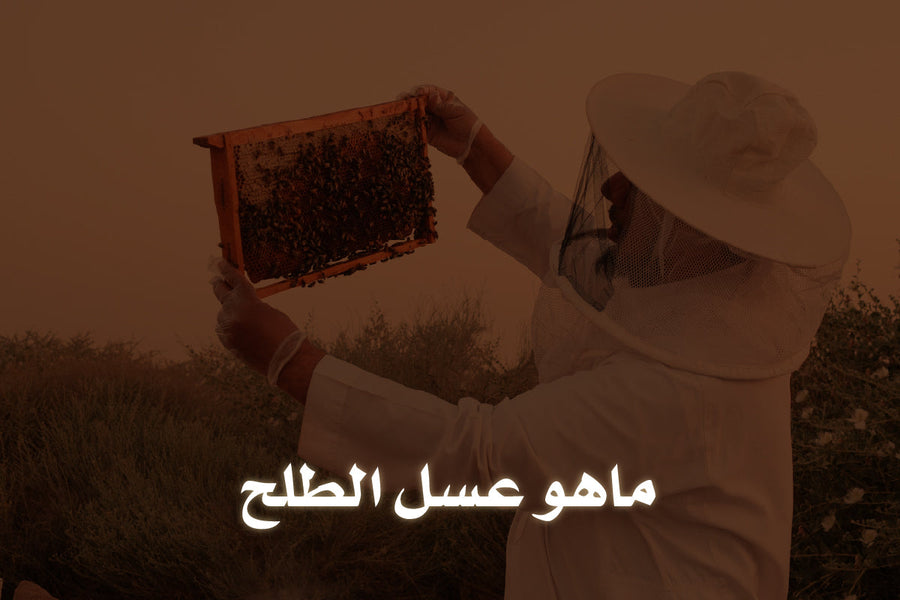 ماهو عسل الطلح