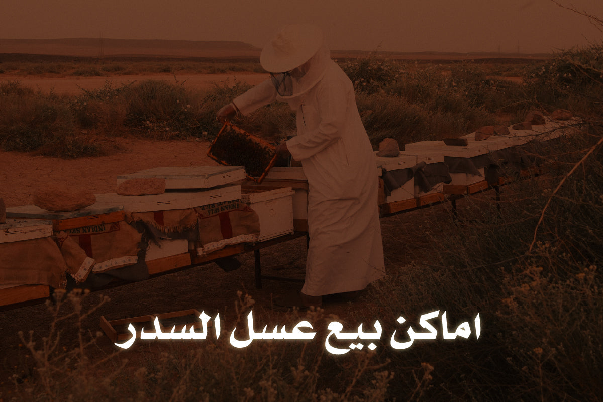 اماكن بيع عسل السدر