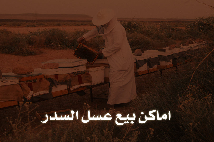 اماكن بيع عسل السدر