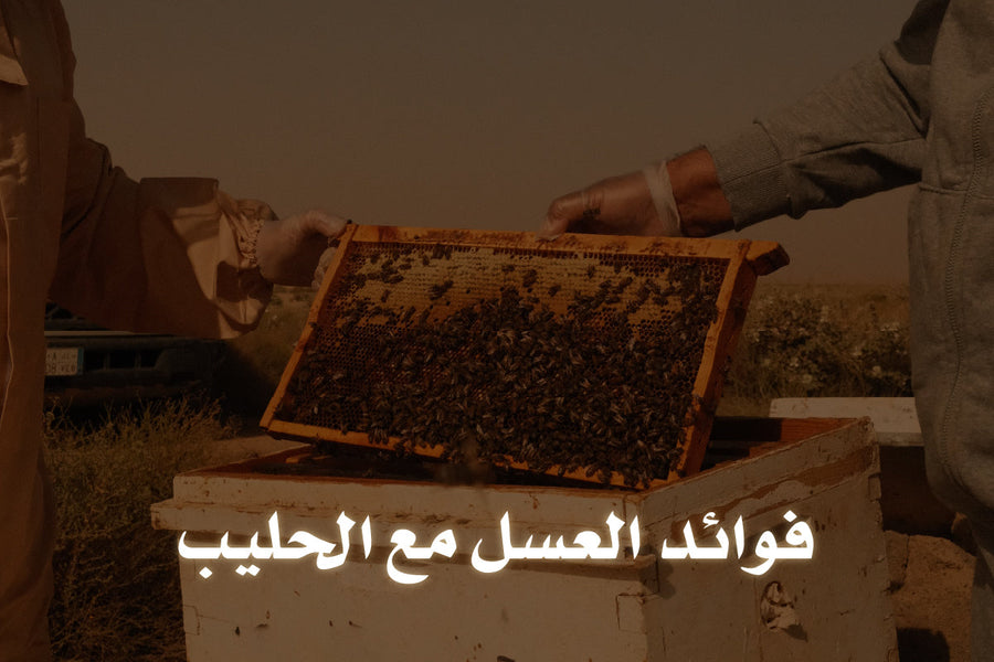 فوائد العسل مع الحليب