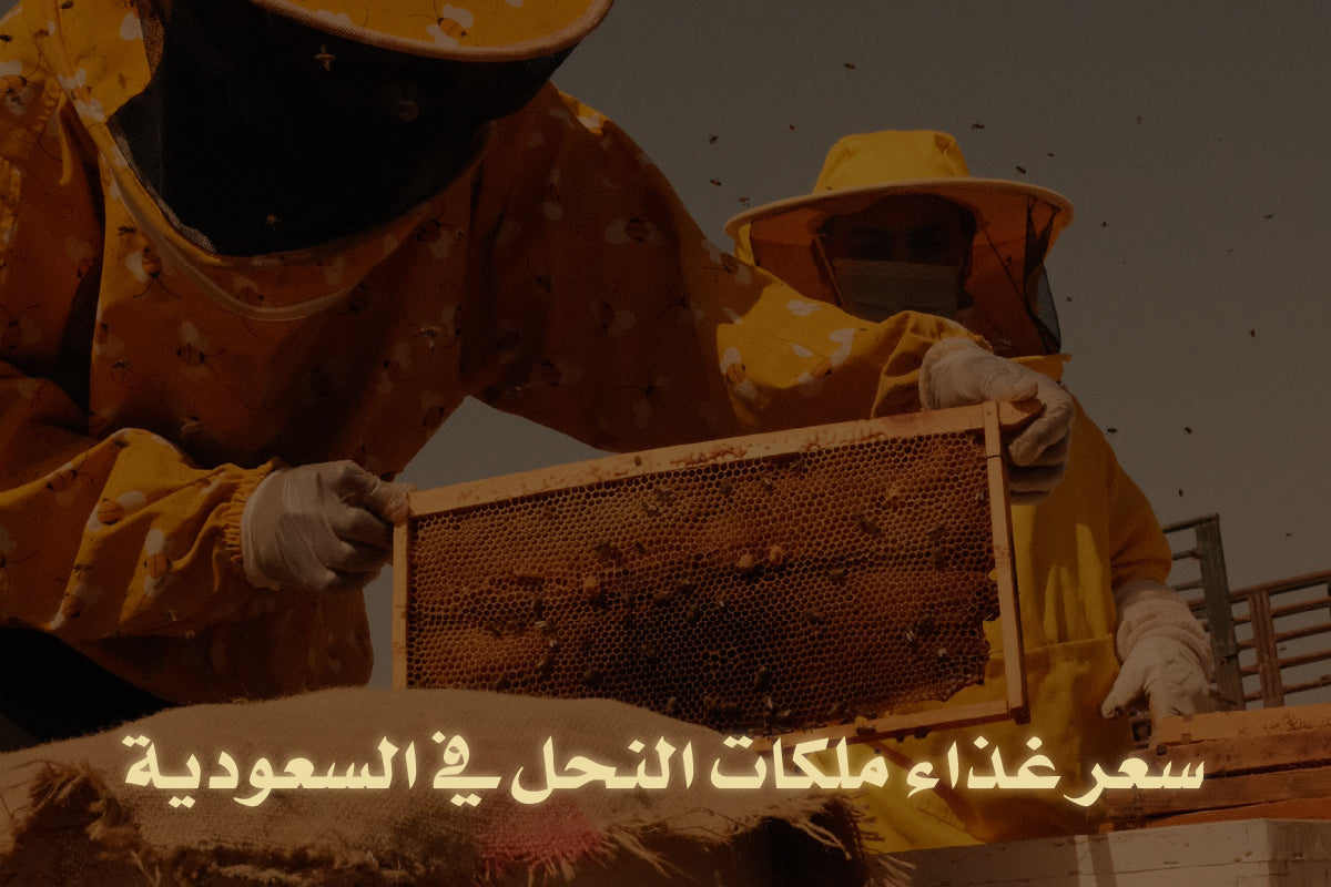 سعر غذاء ملكات النحل في السعودية