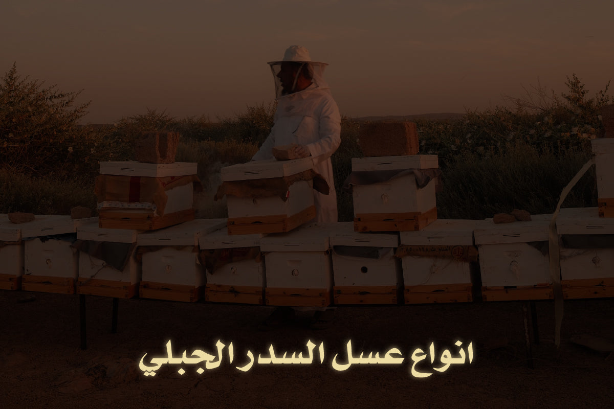 انواع عسل السدر الجبلي
