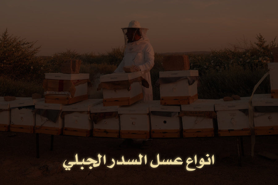 انواع عسل السدر الجبلي