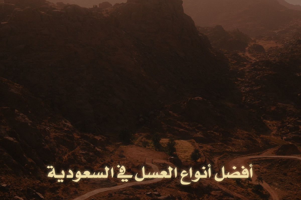 أفضل أنواع العسل في السعودية