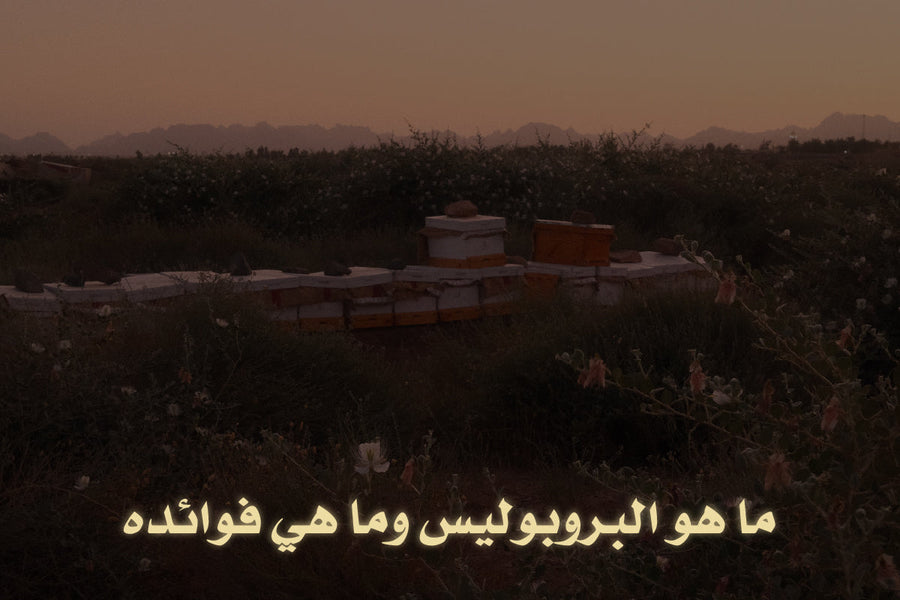 ما هو البروبوليس وما هي فوائده