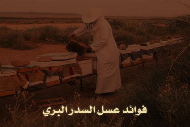 Benefits of wild Sidr honey