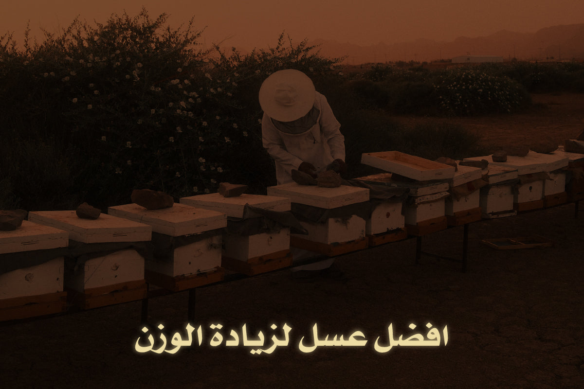 افضل عسل لزيادة الوزن - الأنواع  وفوائدها الصحية