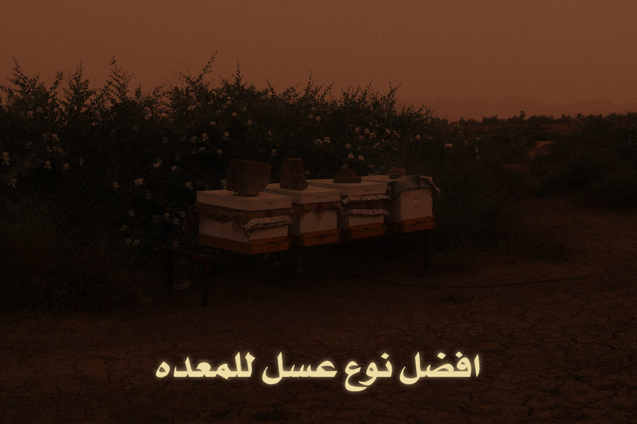 افضل عسل لعلاج المعده