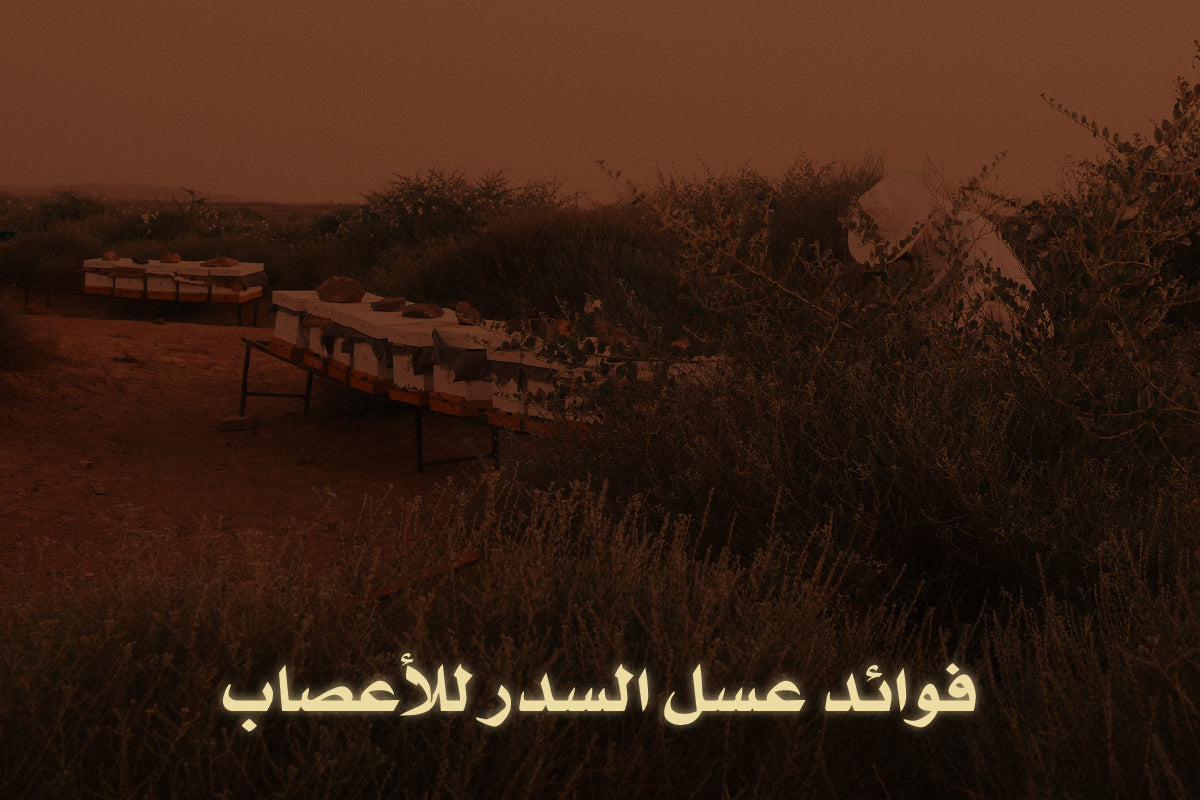 فوائد عسل السدر للأعصاب