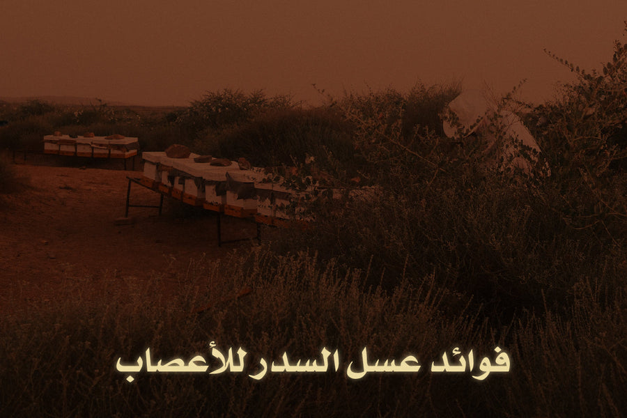 فوائد عسل السدر للأعصاب