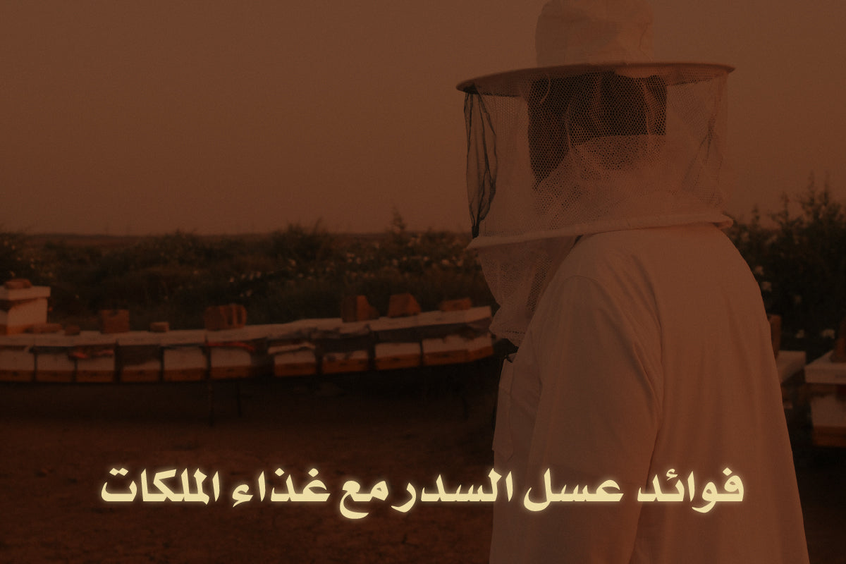 فوائد عسل السدر مع غذاء الملكات - 7 فوائد مذهلة