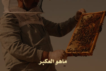 What is propolis? Your guide to its most prominent uses and medicinal benefits