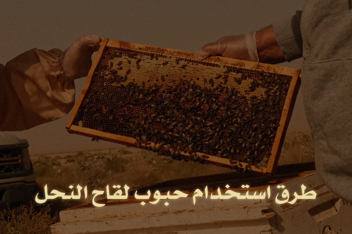 طرق استخدام حبوب لقاح النحل