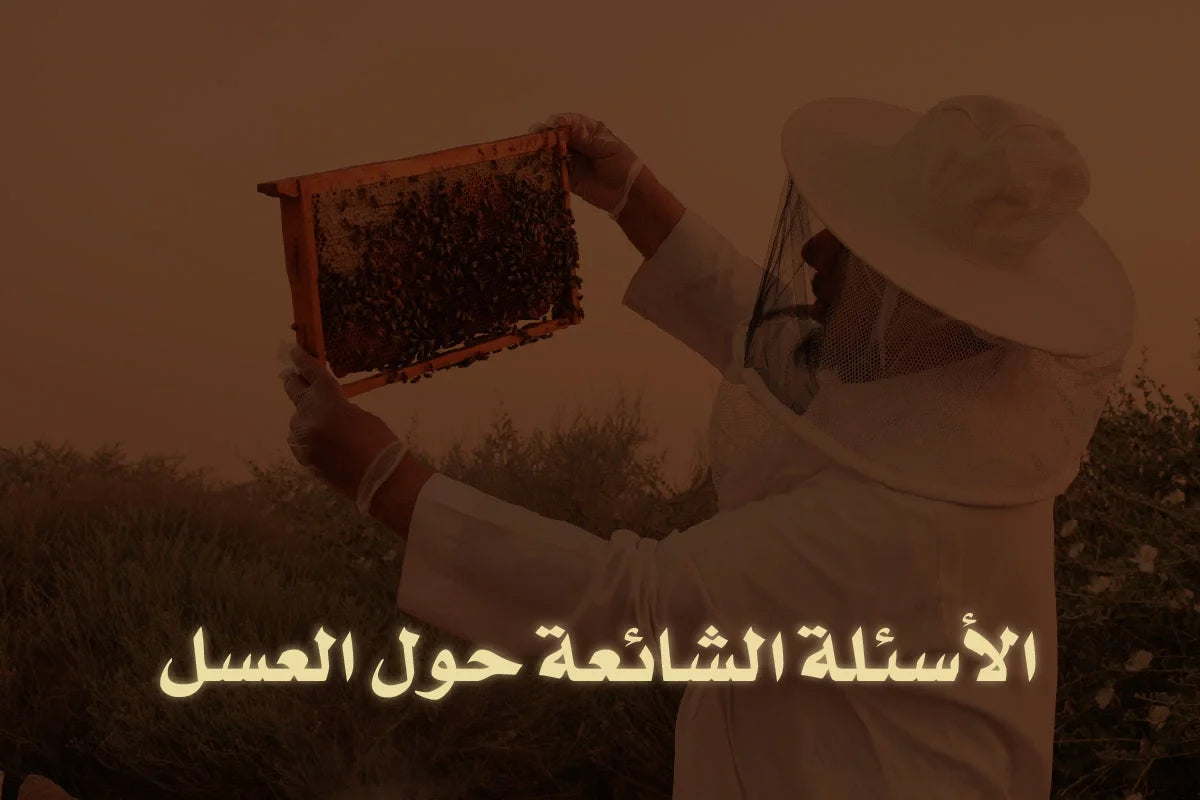 الأسئلة الشائعة حول العسل — أهم 7 أسئلة يطرحها الأشخاص