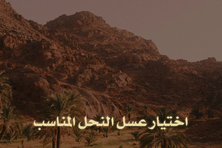 كيفية اختيار عسل النحل المناسب؟