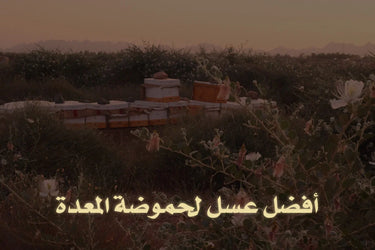 The best honey for stomach acidity