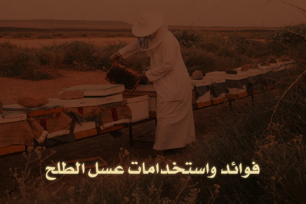 فوائد واستخدامات عسل الطلح