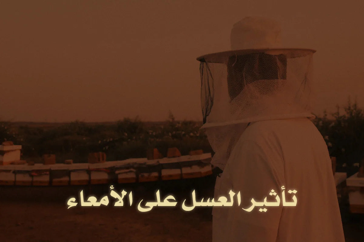 تأثير العسل على الأمعاء ووصفات سريعة لتعزيز الجهاز الهضمي