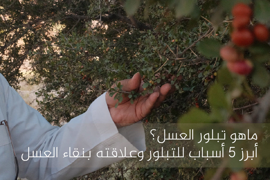 تبلور العسل