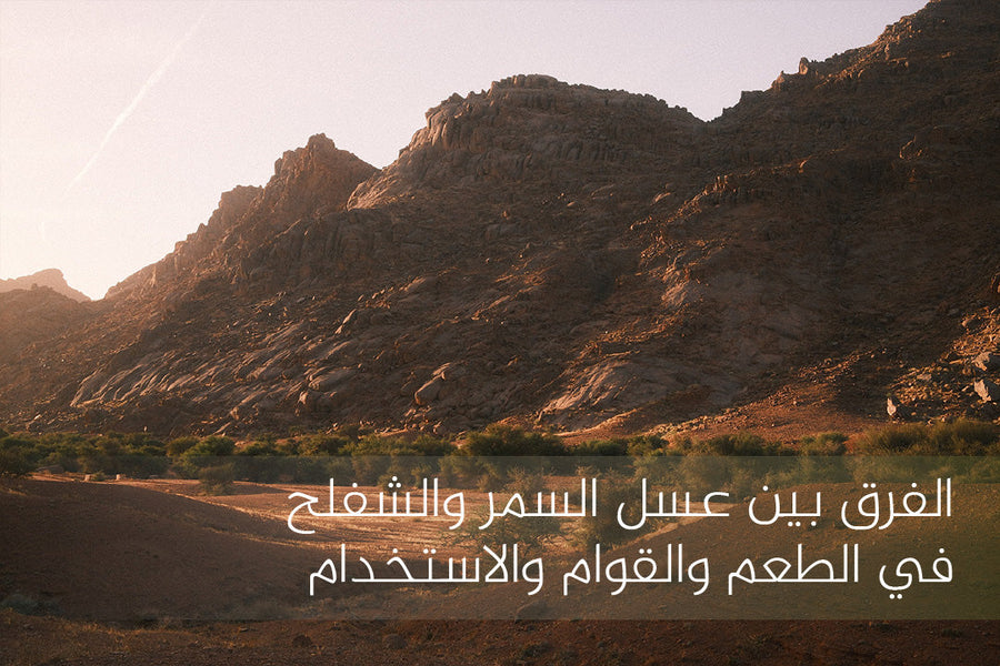 الفرق بين عسل السمر والشفلح