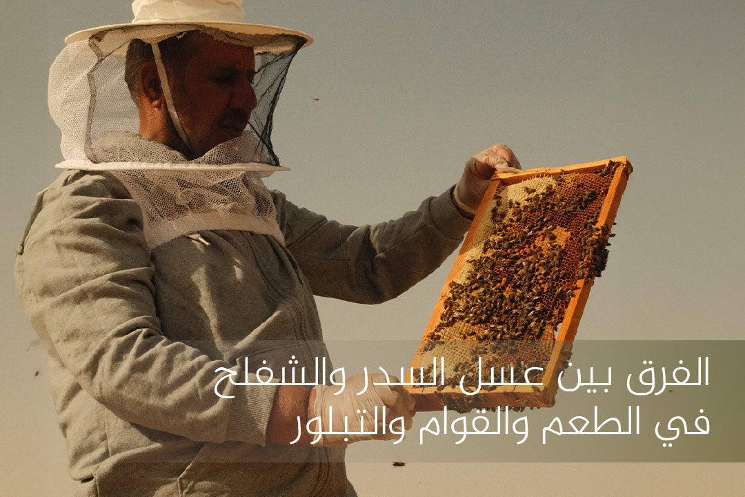 الفرق بين عسل السدر والشفلح