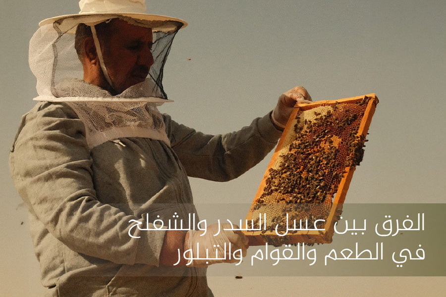 الفرق بين عسل السدر والشفلح