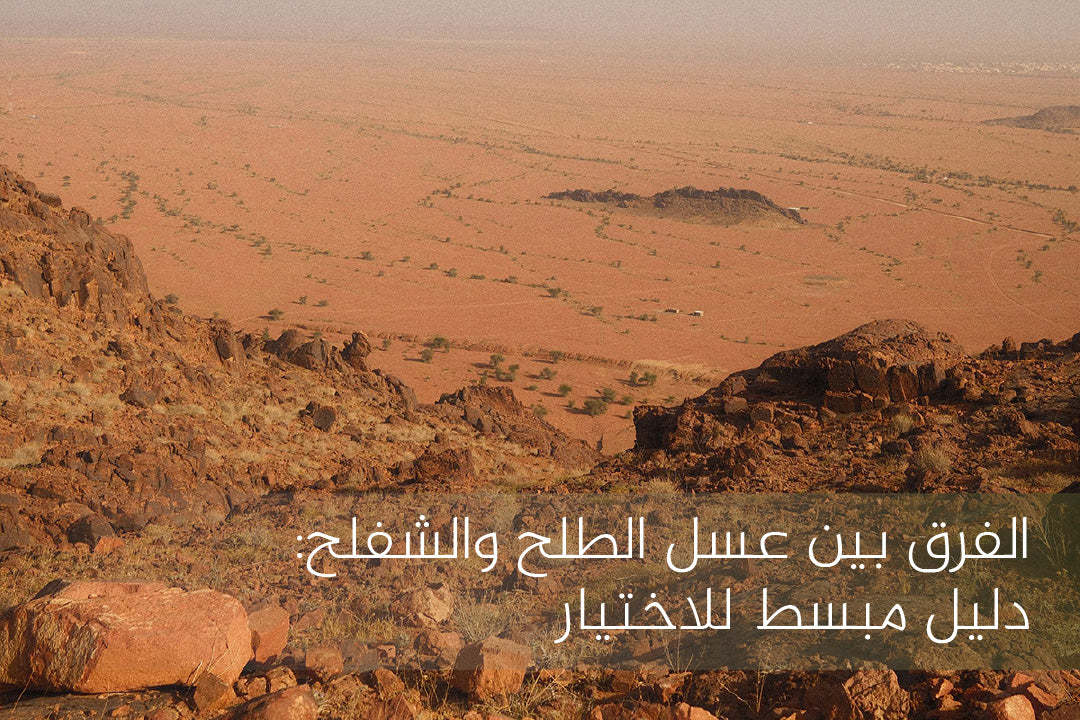 الفرق بين عسل الطلح والشفلح