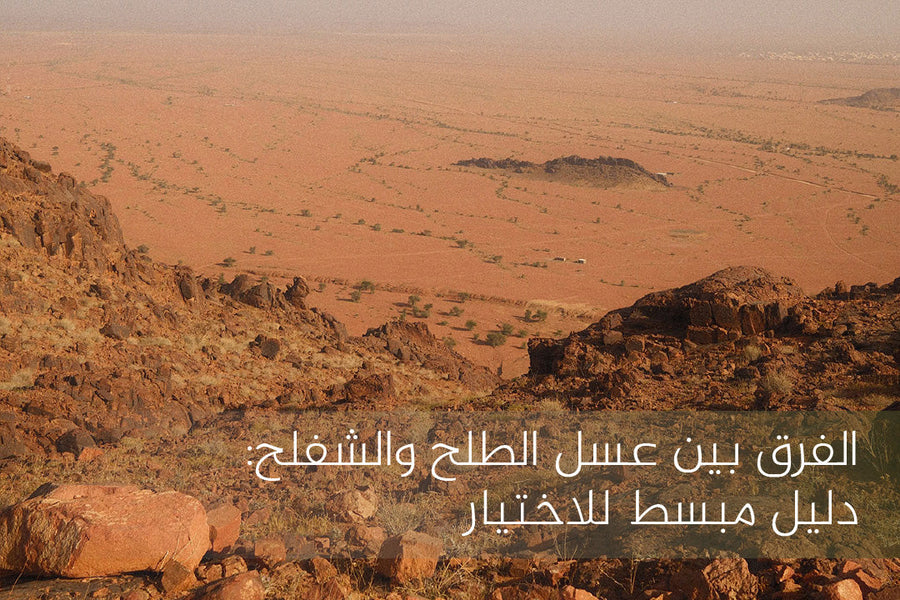 الفرق بين عسل الطلح والشفلح