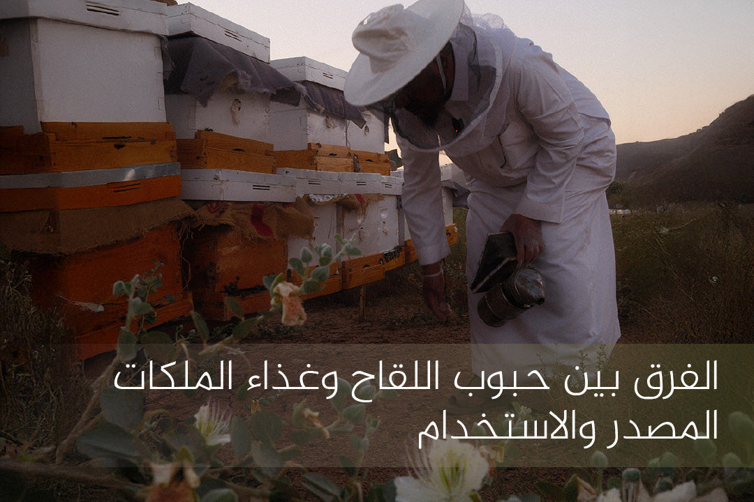 الفرق بين حبوب اللقاح وغذاء الملكات