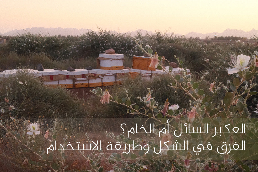 العكبر السائل أم الخام
