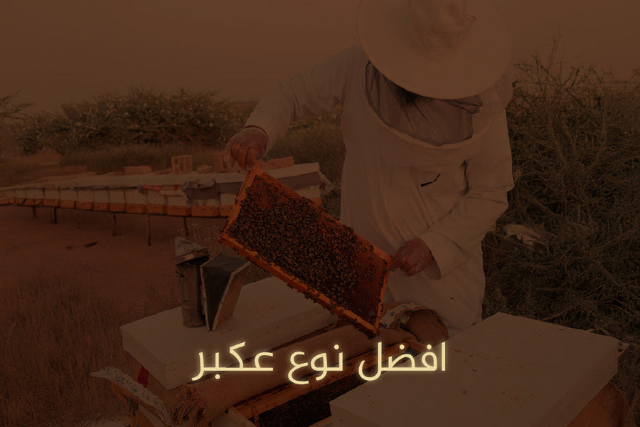 افضل نوع عكبر