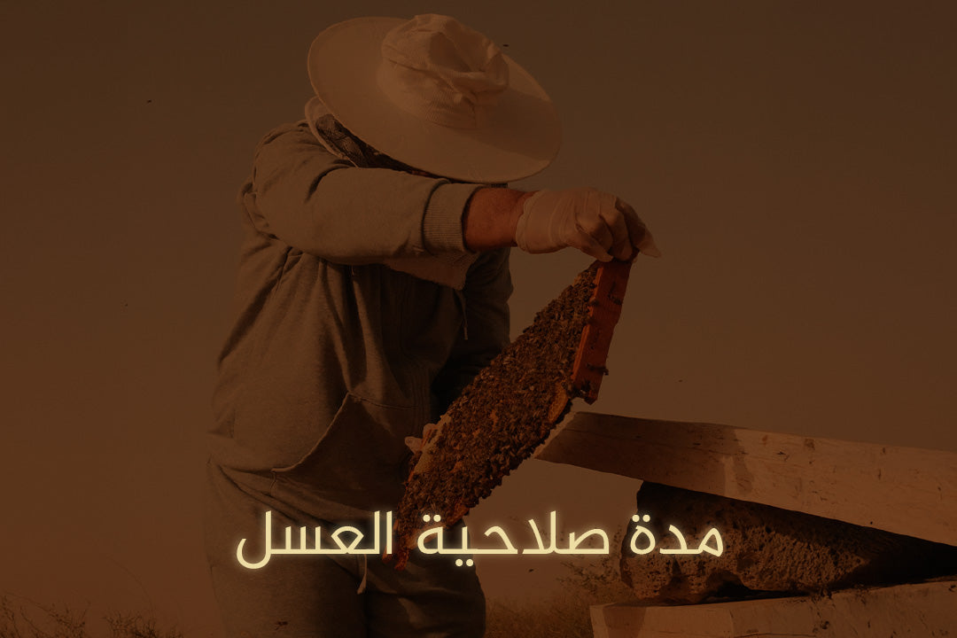 مدة صلاحية العسل | الحقيقة العلمية وكيفية التخزين السليم