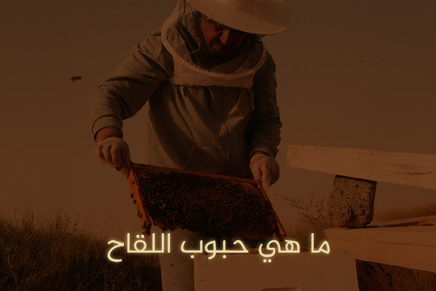 ما هي حبوب اللقاح | دليل تفصيلي عن الفوائد وطرق الإستخدام