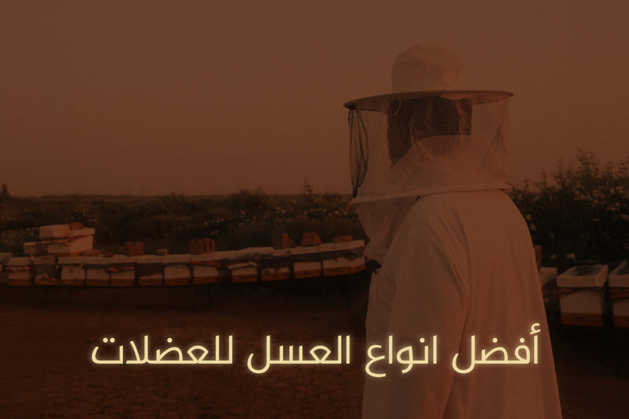 أفضل انواع العسل للعضلات قبل وبعد التمرين - دليل تفصيلي 