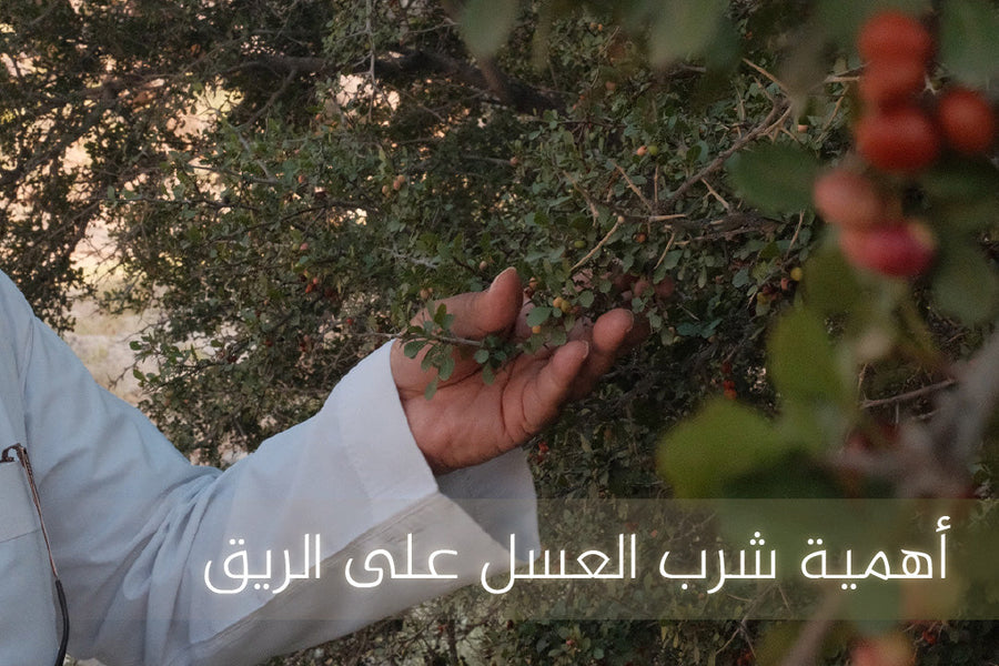 أهمية شرب العسل على الريق؟