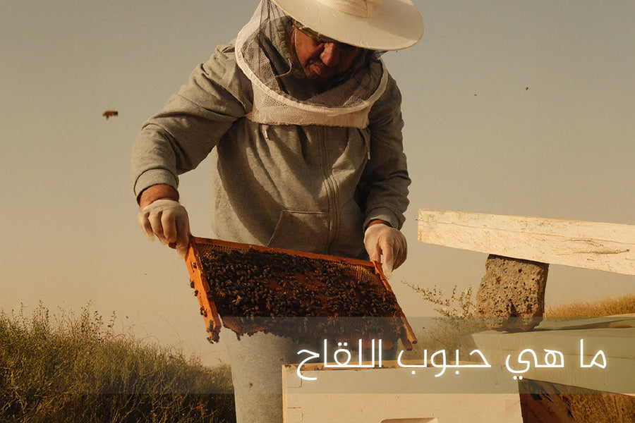 ما هي حبوب اللقاح؟