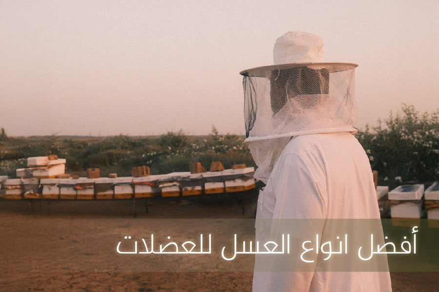 أفضل انواع العسل للعضلات