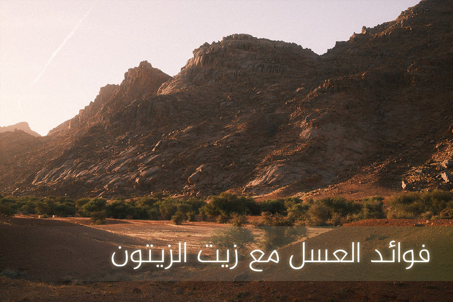 فوائد العسل مع زيت الزيتون