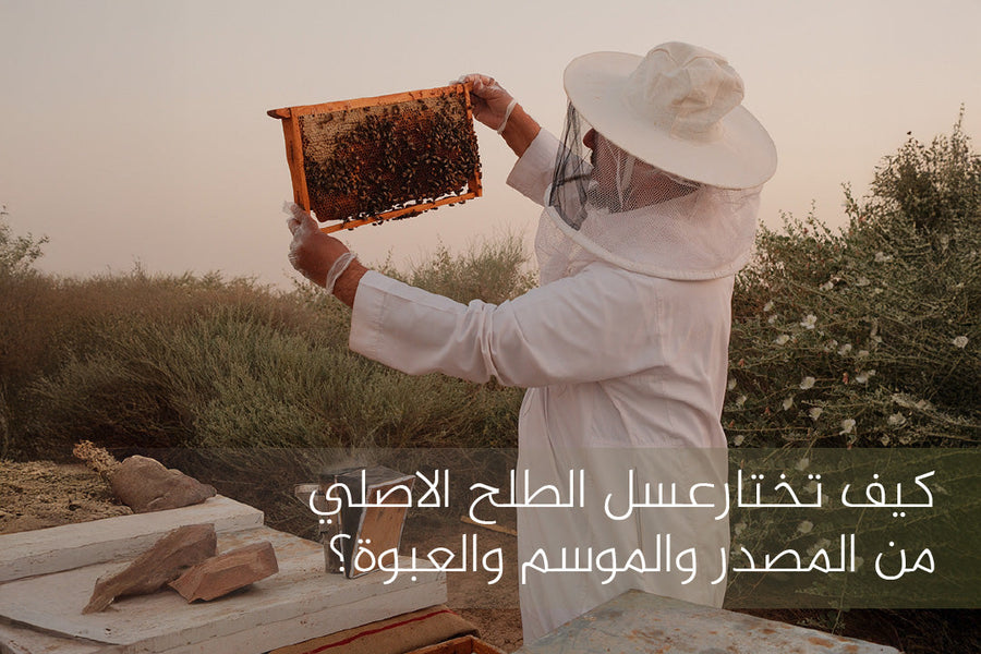 عسل الطلح الاصلي