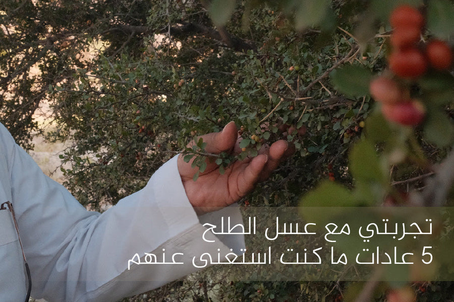 تجربتي مع عسل الطلح