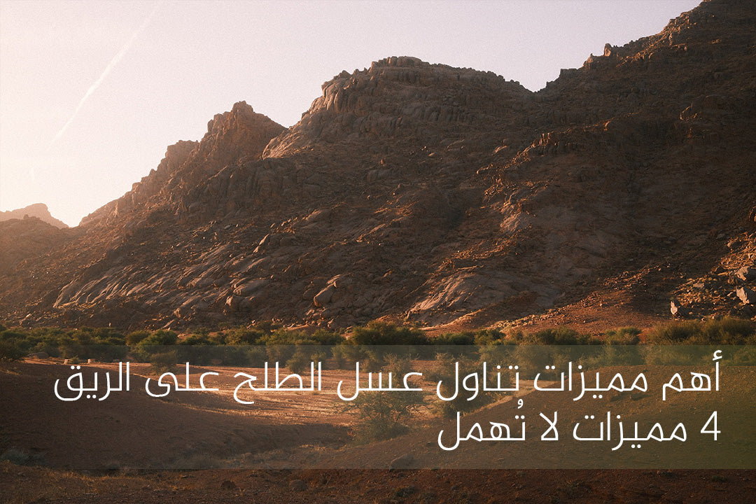 أهم مميزات تناول عسل الطلح على الريق | ٤ مميزات لا تُهمل