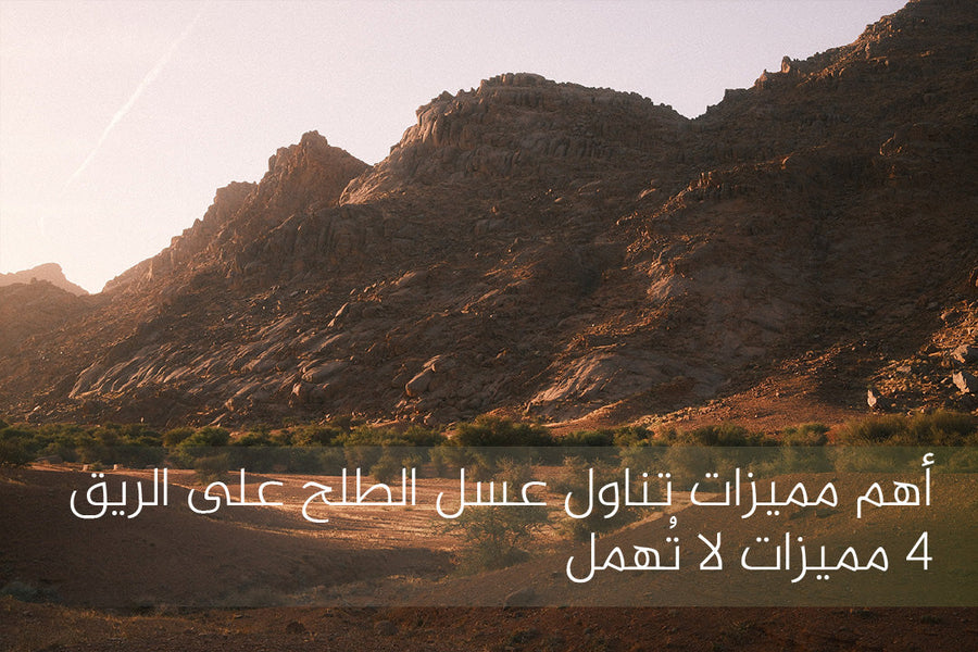 أهم مميزات تناول عسل الطلح على الريق | ٤ مميزات لا تُهمل
