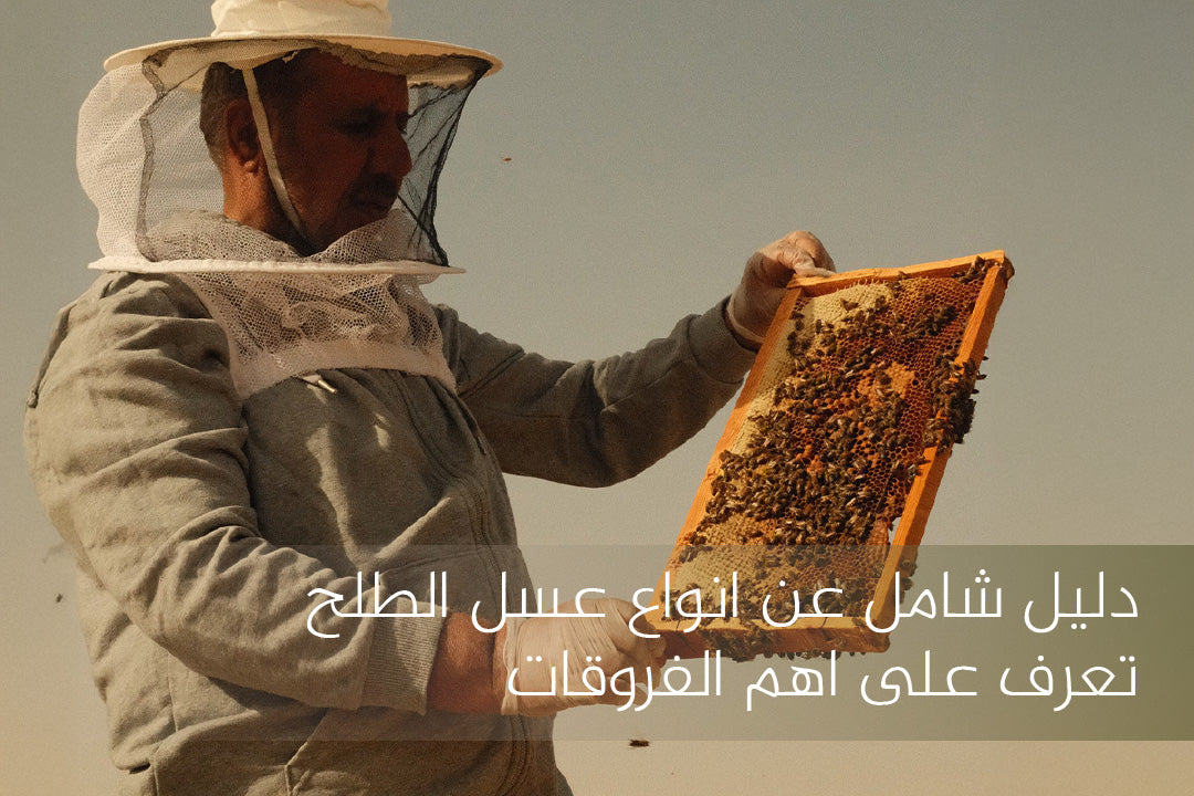 دليل شامل عن انواع عسل الطلح | تعرف على أهم الفروقات