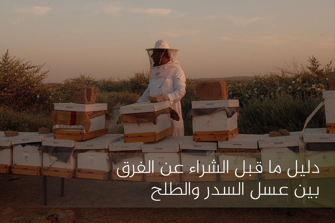 الفرق بين عسل السدر والطلح