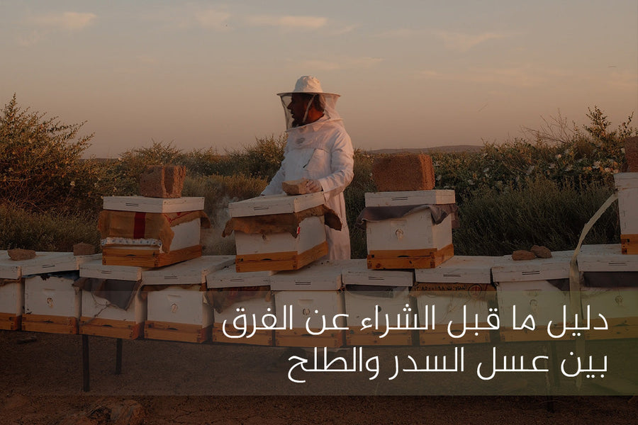 الفرق بين عسل السدر والطلح