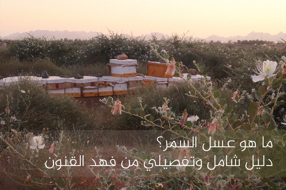 عسل السمر