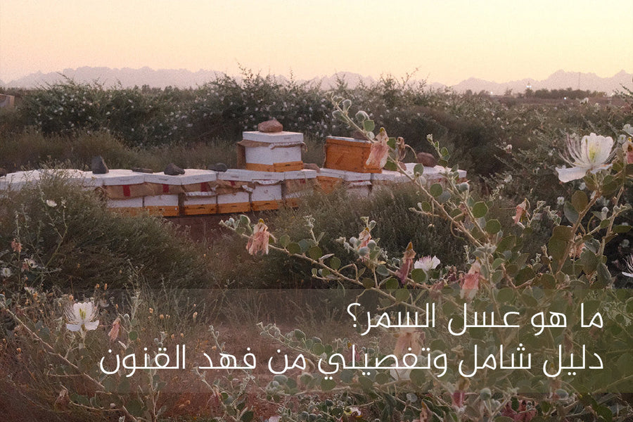 عسل السمر