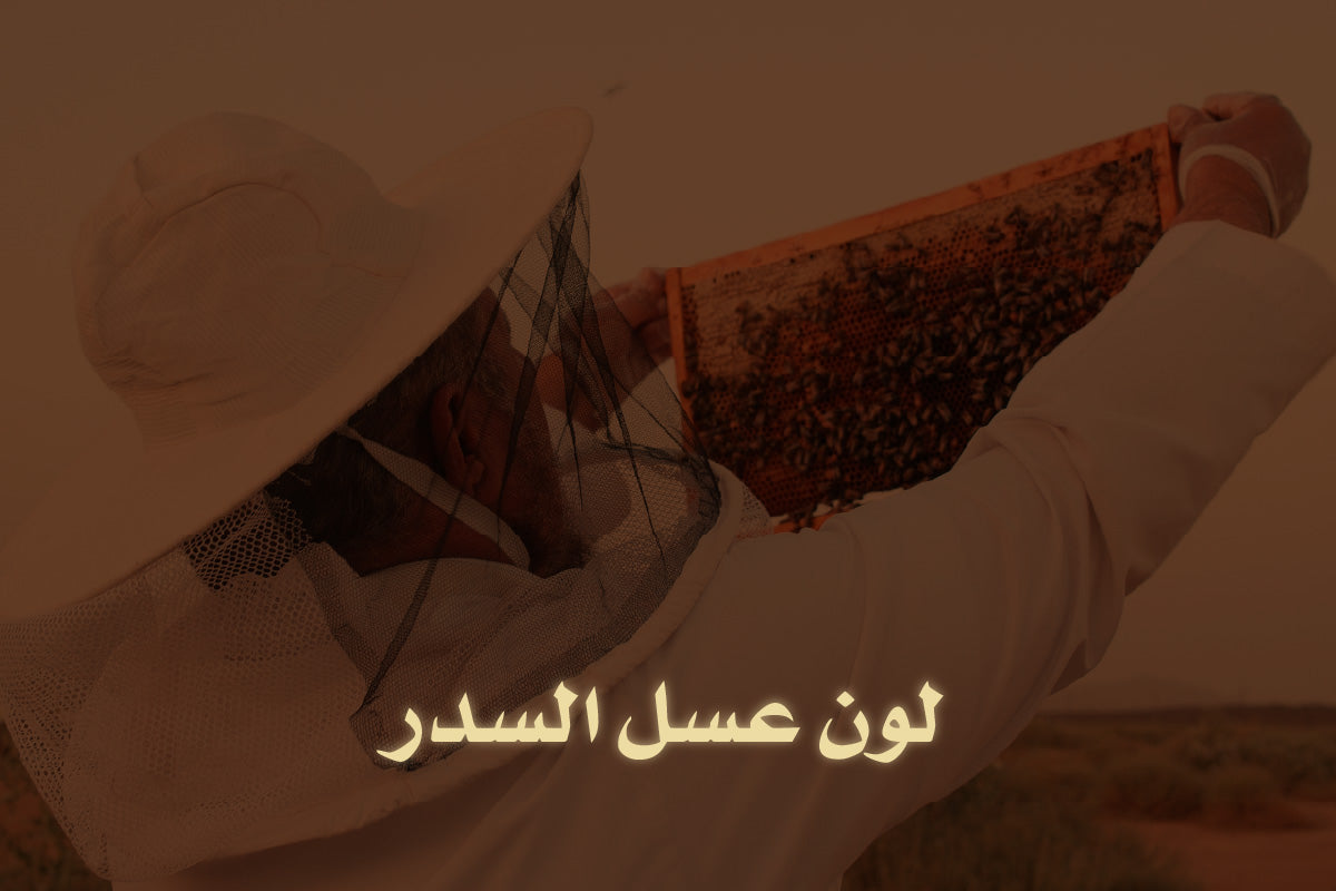 لون عسل السدر - علامات التمييز بين الأنواع المختلفة