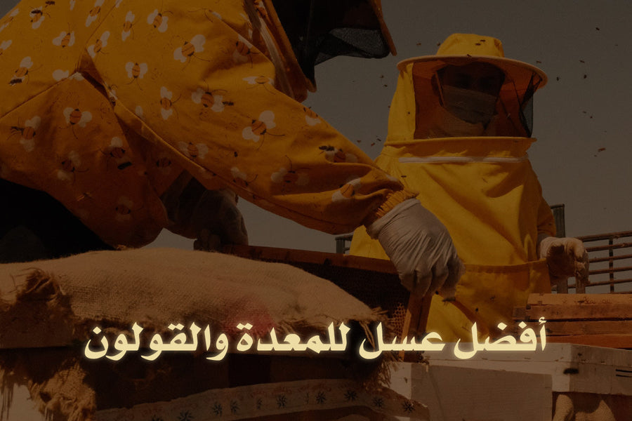 أفضل عسل للمعدة والقولون