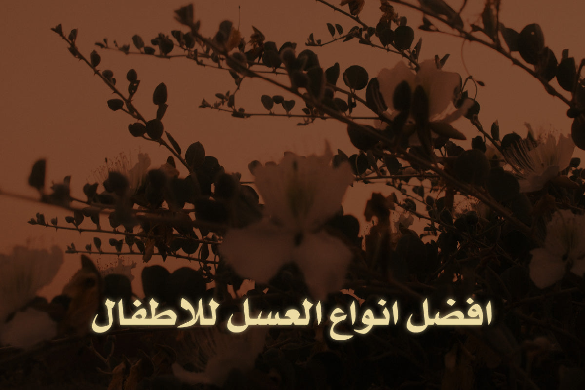 افضل انواع العسل للاطفال